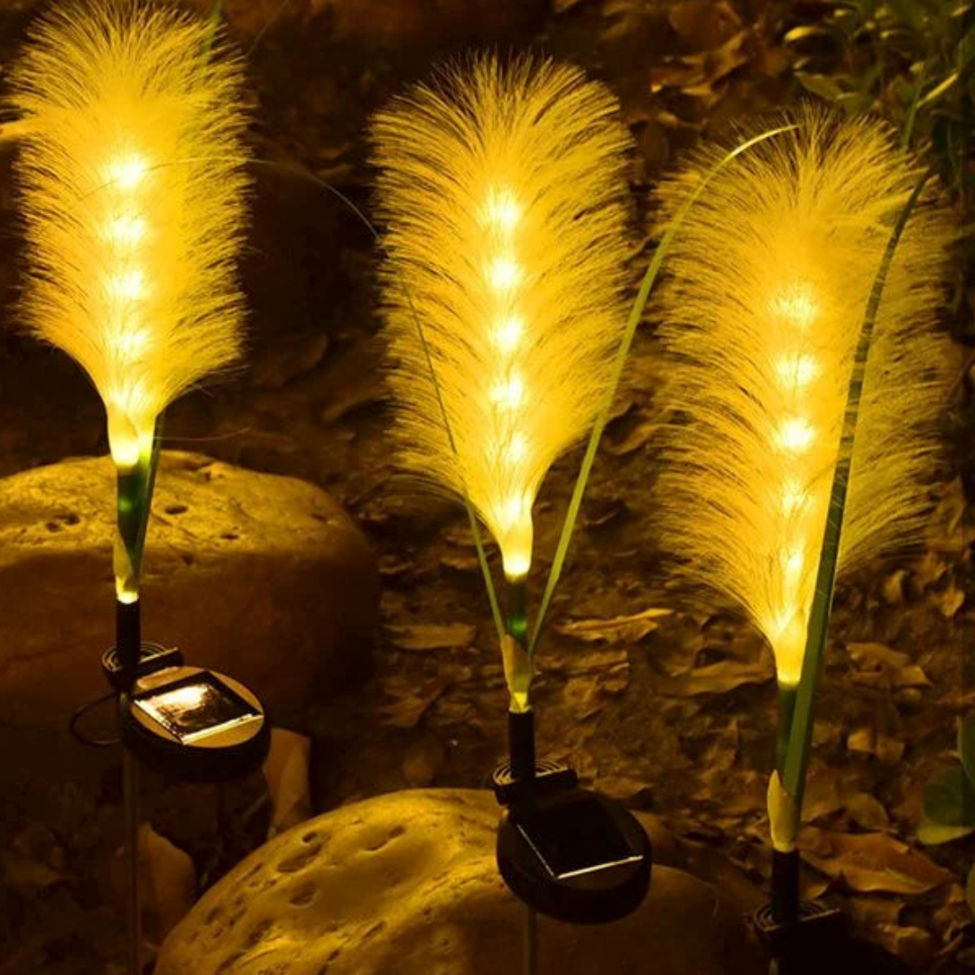 Solarlichter aus Glasfaser für dekorative Gartenbeleuchtung und Stimmung